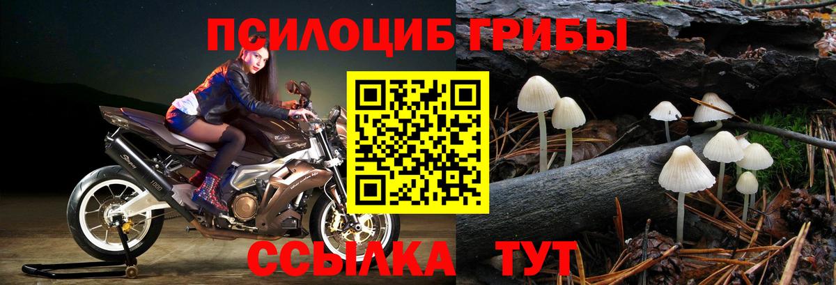Галлюциногенные грибы мухоморы  Галлюциногенные грибы прущие грибы  Вход с VPN  Ростов Великий 